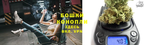 трава Гусев