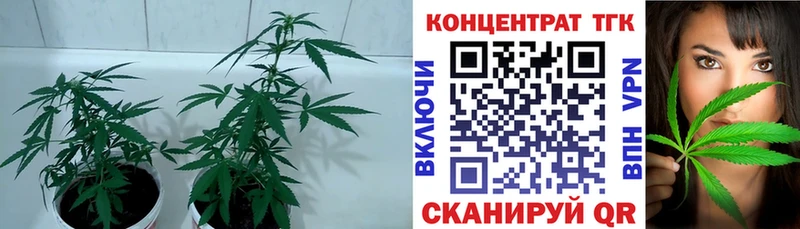 ТГК жижа  shop Telegram  Новоузенск 